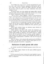 giornale/TO00177128/1902-1903/unico/00000216