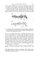 giornale/TO00177128/1902-1903/unico/00000239