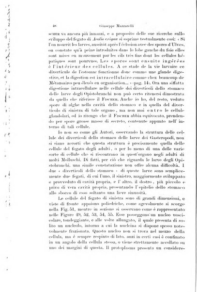 Archivio zoologico