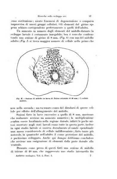 Archivio zoologico