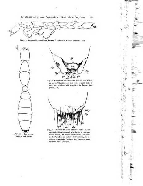 Archivio zoologico