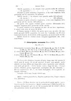 giornale/TO00177128/1904-1906/unico/00000192