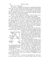 giornale/TO00177128/1904-1906/unico/00000234