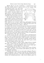 giornale/TO00177128/1904-1906/unico/00000237