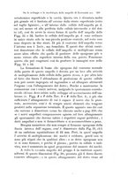 giornale/TO00177128/1904-1906/unico/00000377