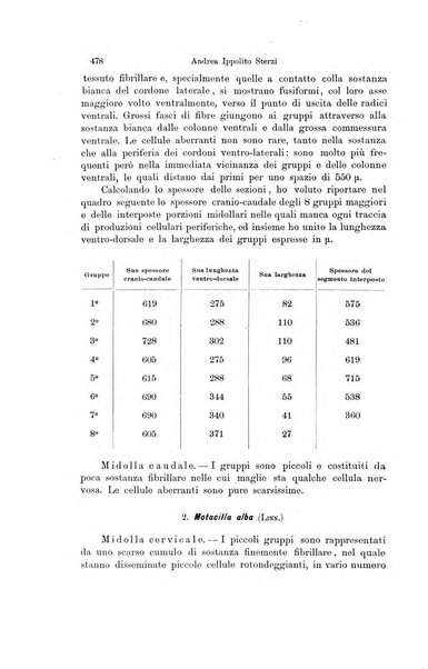 Archivio zoologico