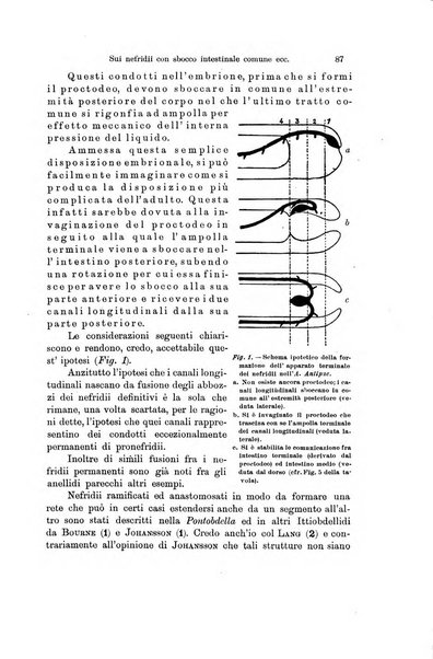 Archivio zoologico