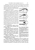 giornale/TO00177128/1906-1909/unico/00000093