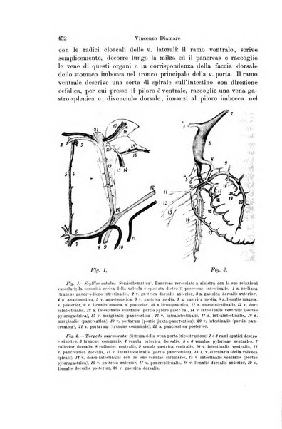 Archivio zoologico