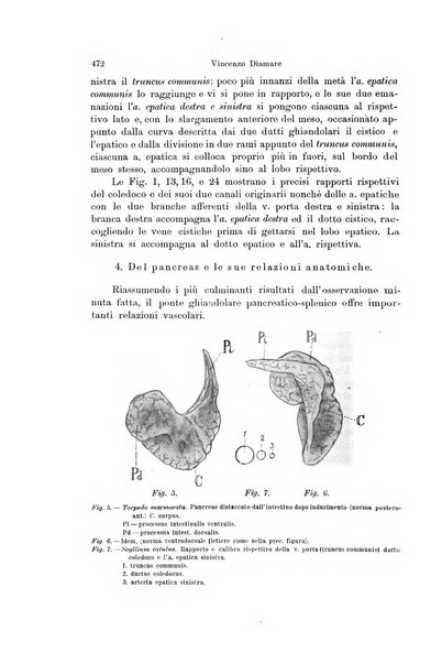 Archivio zoologico