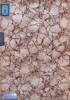 giornale/TO00177167/1899/unico/00000002