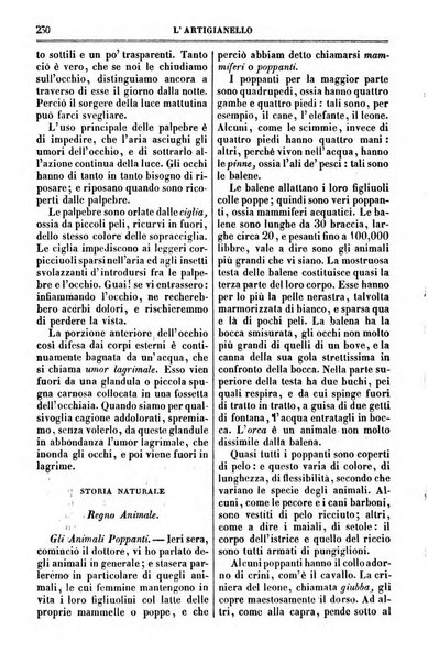 L'artigianello letture morali, religiose ed istruttive per servire alle scuole notturne di religione e alle famiglie