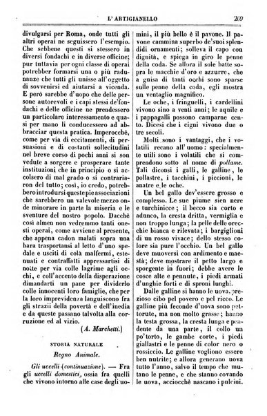 L'artigianello letture morali, religiose ed istruttive per servire alle scuole notturne di religione e alle famiglie