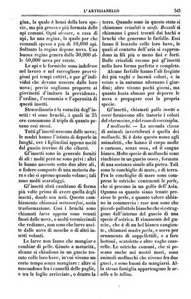 L'artigianello letture morali, religiose ed istruttive per servire alle scuole notturne di religione e alle famiglie