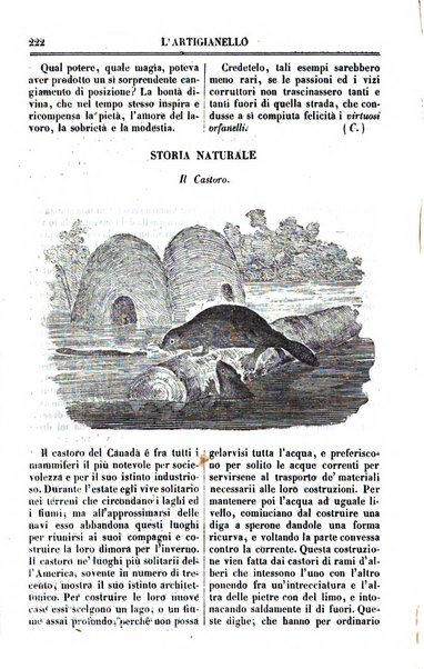 L'artigianello letture morali, religiose ed istruttive per servire alle scuole notturne di religione e alle famiglie