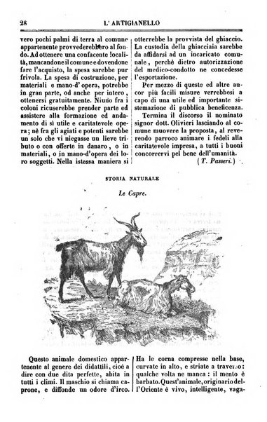 L'artigianello letture morali, religiose ed istruttive per servire alle scuole notturne di religione e alle famiglie