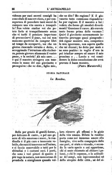 L'artigianello letture morali, religiose ed istruttive per servire alle scuole notturne di religione e alle famiglie