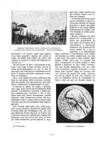 giornale/TO00177227/1917/unico/00000010