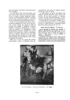 giornale/TO00177227/1917/unico/00000366