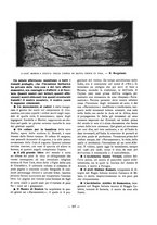 giornale/TO00177227/1917/unico/00000389