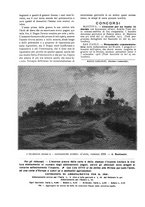 giornale/TO00177227/1917/unico/00000412