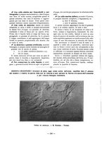 giornale/TO00177227/1918/unico/00000286