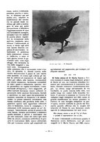 giornale/TO00177227/1921/unico/00000025