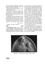 giornale/TO00177227/1935/unico/00000404