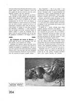 giornale/TO00177227/1936/unico/00000324
