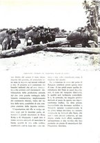 giornale/TO00177251/1939/v.5/00000049