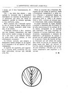 giornale/TO00177281/1928/unico/00000313