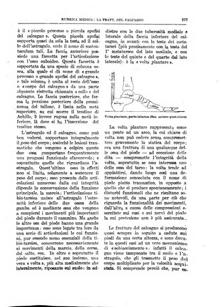 L'assistenza sociale agricola rivista mensile di infortunistica e assistenza sociale