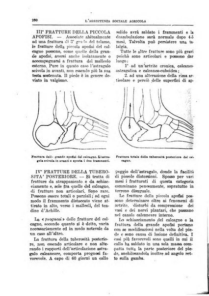 L'assistenza sociale agricola rivista mensile di infortunistica e assistenza sociale