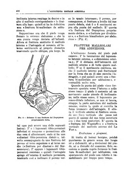 L'assistenza sociale agricola rivista mensile di infortunistica e assistenza sociale