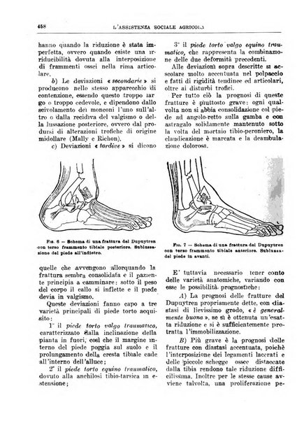 L'assistenza sociale agricola rivista mensile di infortunistica e assistenza sociale