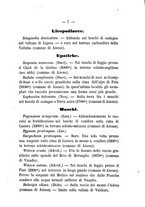 giornale/TO00177331/1874-1875/unico/00000011