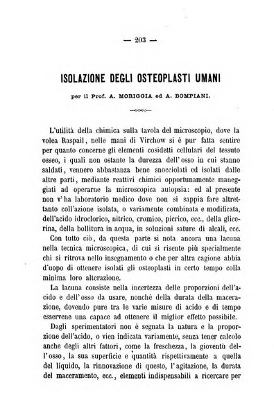 L'ateneo rivista mensile scientifica e letteraria