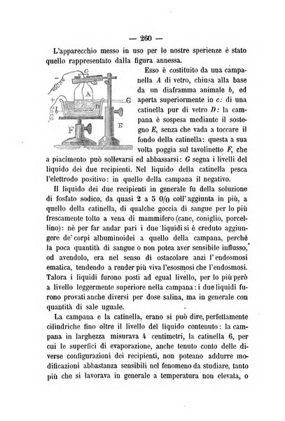 L'ateneo rivista mensile scientifica e letteraria