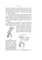 giornale/TO00177341/1925/v.22/00000049