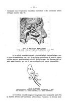 giornale/TO00177341/1934/v.30.1.2/00000021