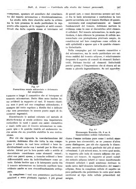 Athena rassegna mensile di biologia, clinica e terapia