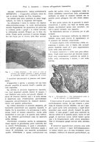 giornale/TO00177347/1933/unico/00000271