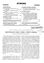 giornale/TO00177347/1933/unico/00000511