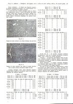 giornale/TO00177347/1935/unico/00000019