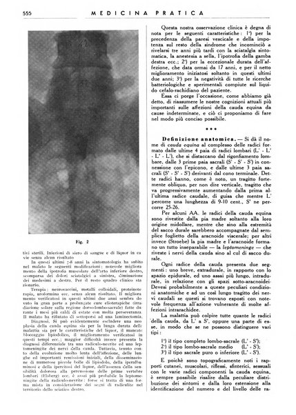 Athena rassegna mensile di biologia, clinica e terapia