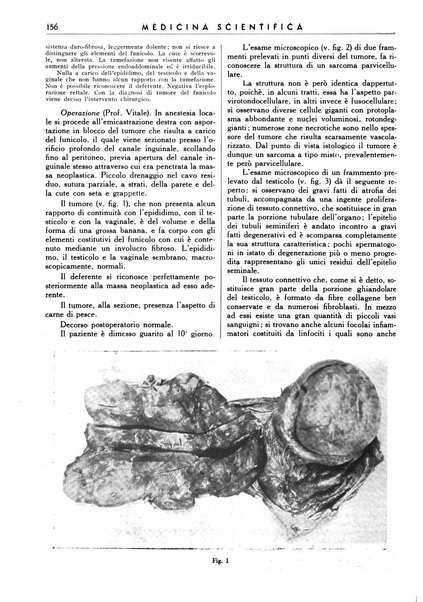 Athena rassegna mensile di biologia, clinica e terapia