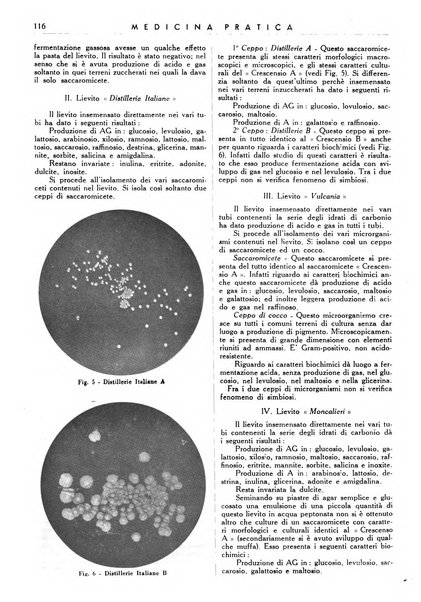 Athena rassegna mensile di biologia, clinica e terapia