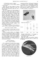 giornale/TO00177347/1939/unico/00000021