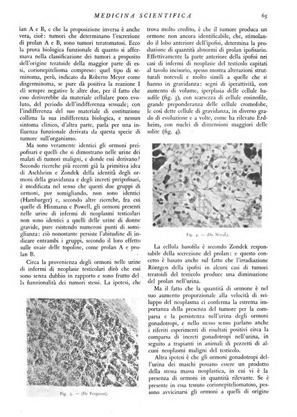 Athena rassegna mensile di biologia, clinica e terapia