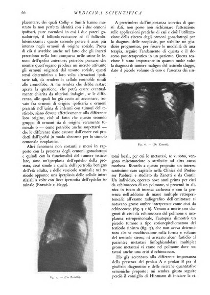 Athena rassegna mensile di biologia, clinica e terapia